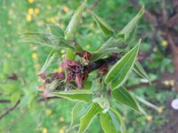 20160523_134130.jpg