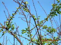 DSCN1209.JPG