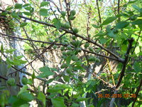 DSCN1211.JPG