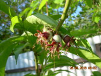 DSCN1214.JPG