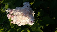 20160526_190743.jpg