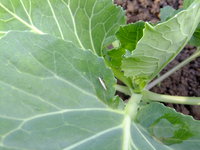 DSCF0354.jpg