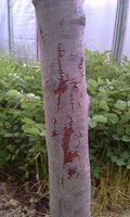 IMAG0438.jpg