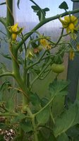 WP_20160529_002.jpg