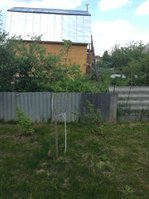 IMG_4770_1.jpg