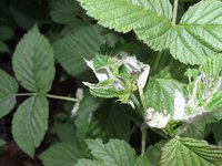 DSC00750.JPG