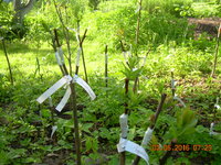 DSCN1222.JPG