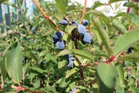 IMG_5345.jpg