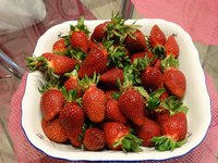 DSC00762_1.jpg