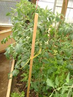 DSC05478.JPG