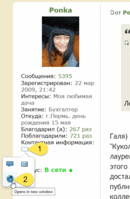Ссылка на сайт, e-mail, личку, ...