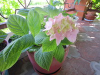 IMG_1819.JPG