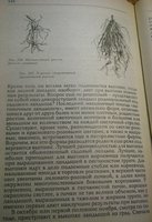 P1010790.JPG