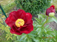 Mackinac Grand 078.jpg
