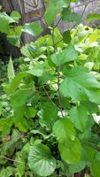 20160608_154724.jpg