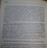P1010800.JPG