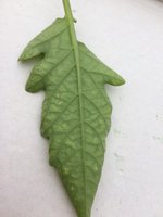 SkypePhoto_20160611_14_36_01.jpg