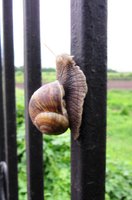 IMG_3252.JPG