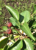 IMG_4439.JPG
