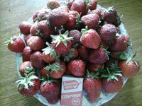 20160613_114005[1].jpg
