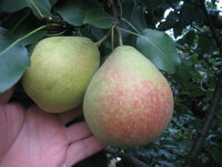Мраморная 20.09.2012г. Минск