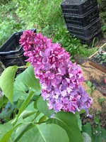 Вечный Зов (2). 1JPG.jpg