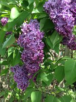 Вопреки (2). 1JPG.jpg