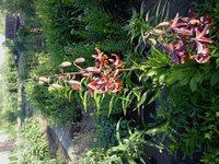 20160613_070605.jpg