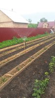 20160614_070137.jpg