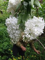 Зима (3). 1JPG.jpg