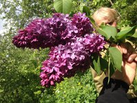 Константа (2) 1JPG.jpg