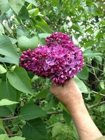 Край (1). 1JPG.jpg