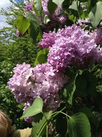 Не Уходи (2). 1JPG.jpg