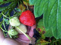 2016-06-14 21-15-21.JPG