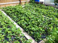 2016-06-15 09-08-19.JPG