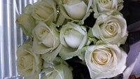 20160610_101141.jpg