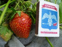 поспела Царица.jpg