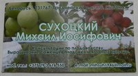 DSCN2345.JPG