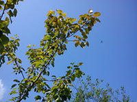 DSC00064.jpg