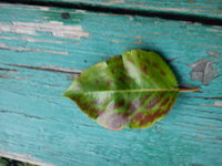 DSC00067.jpg