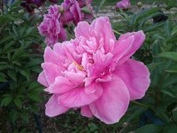 20160618_172828.jpg