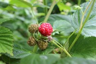 IMG_5680.jpg