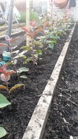 20160621_195423.jpg