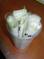 DSCN6572.JPG