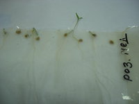 DSCN6570.JPG