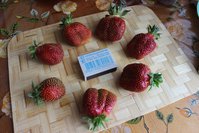 IMG_5489.jpg