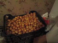 Resize of IMG_0153.JPG