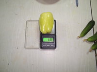 Изображение 280.jpg