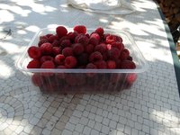 DSC01120.JPG