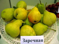 фото Свердловской селекционной станции